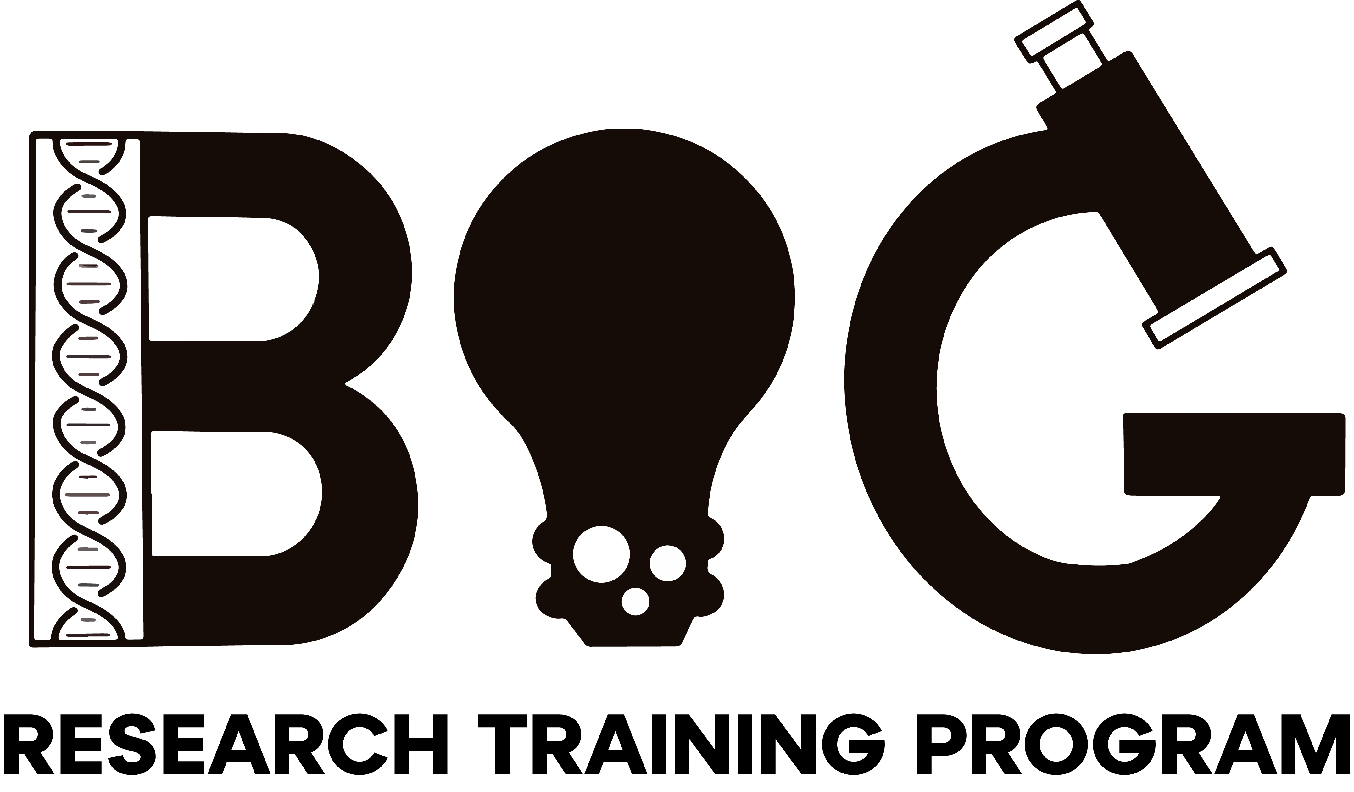 BIG-RT Logo