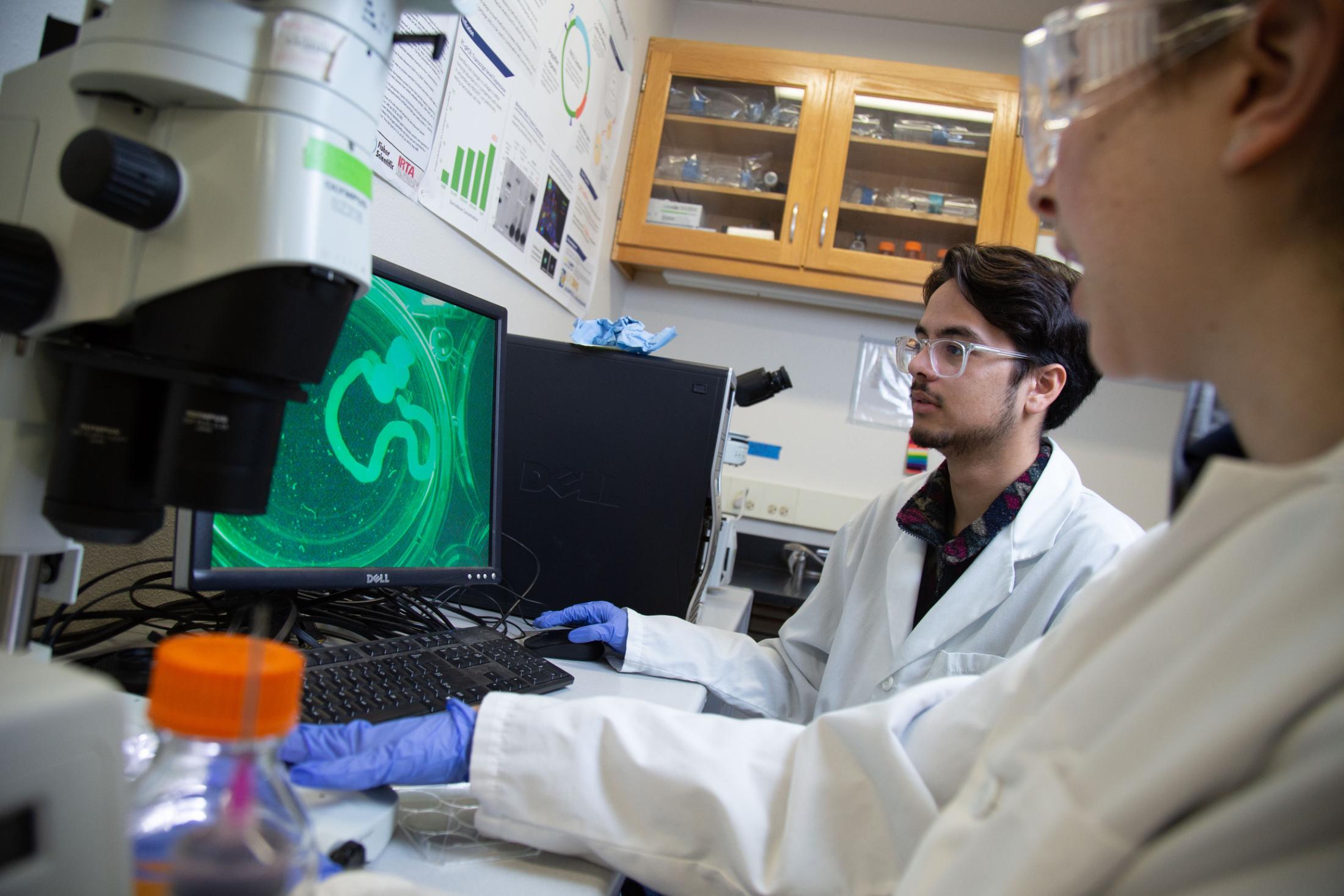 Students working in the lab.