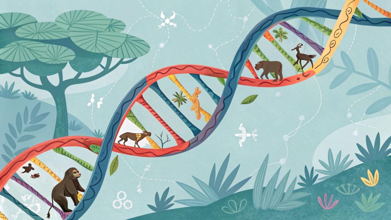 Mapping The Code of Life: How Genomics Have Become A Tool For Conservation