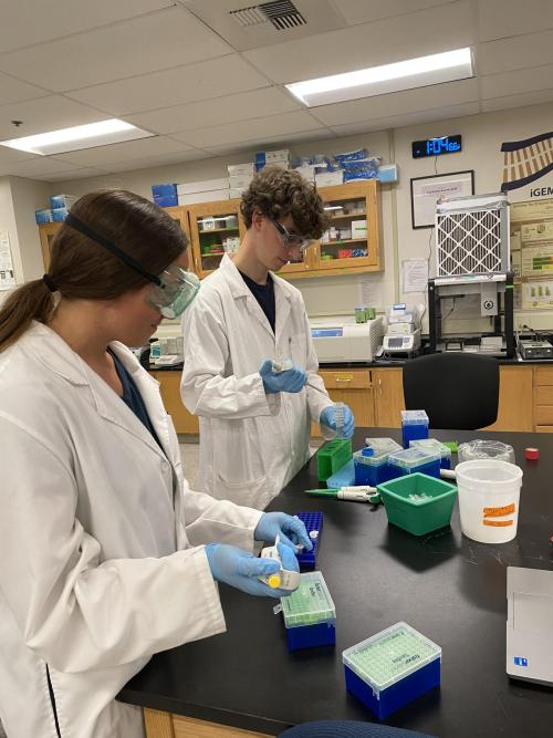 RVC Students in the Lab.