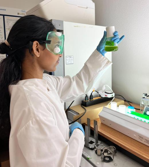 Algae Student Working In Lab